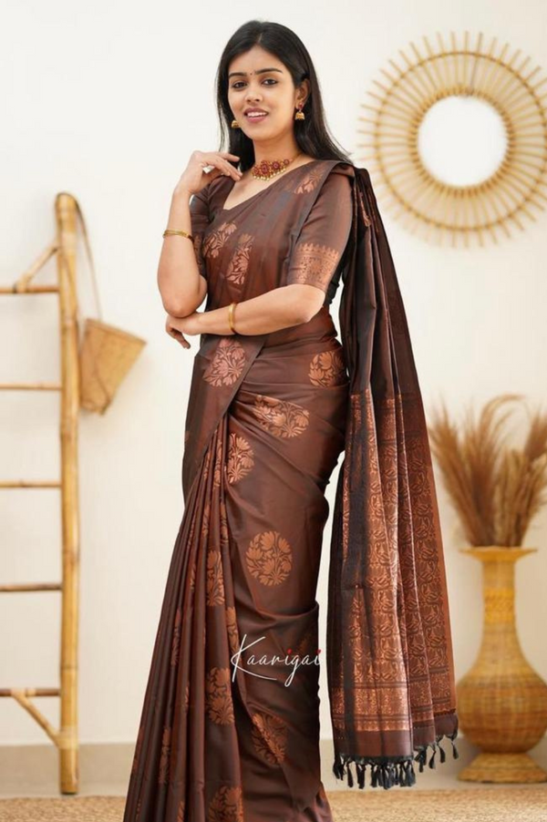 Art Silk Saree with Contrast Woven Border