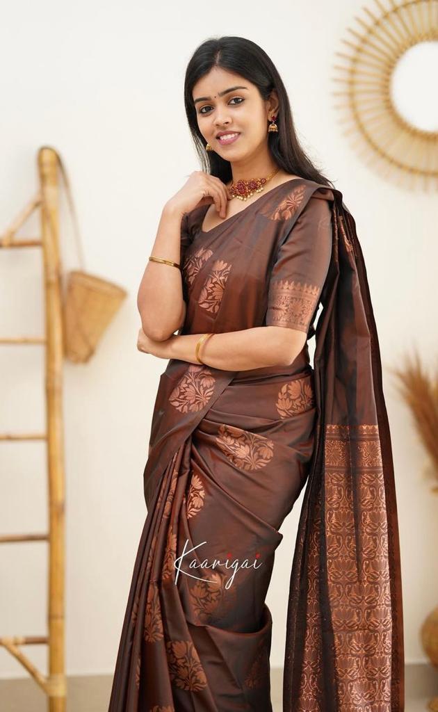 Art Silk Saree with Contrast Woven Border