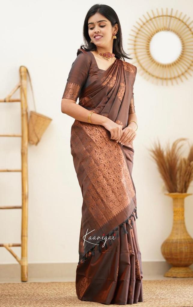 Art Silk Saree with Contrast Woven Border