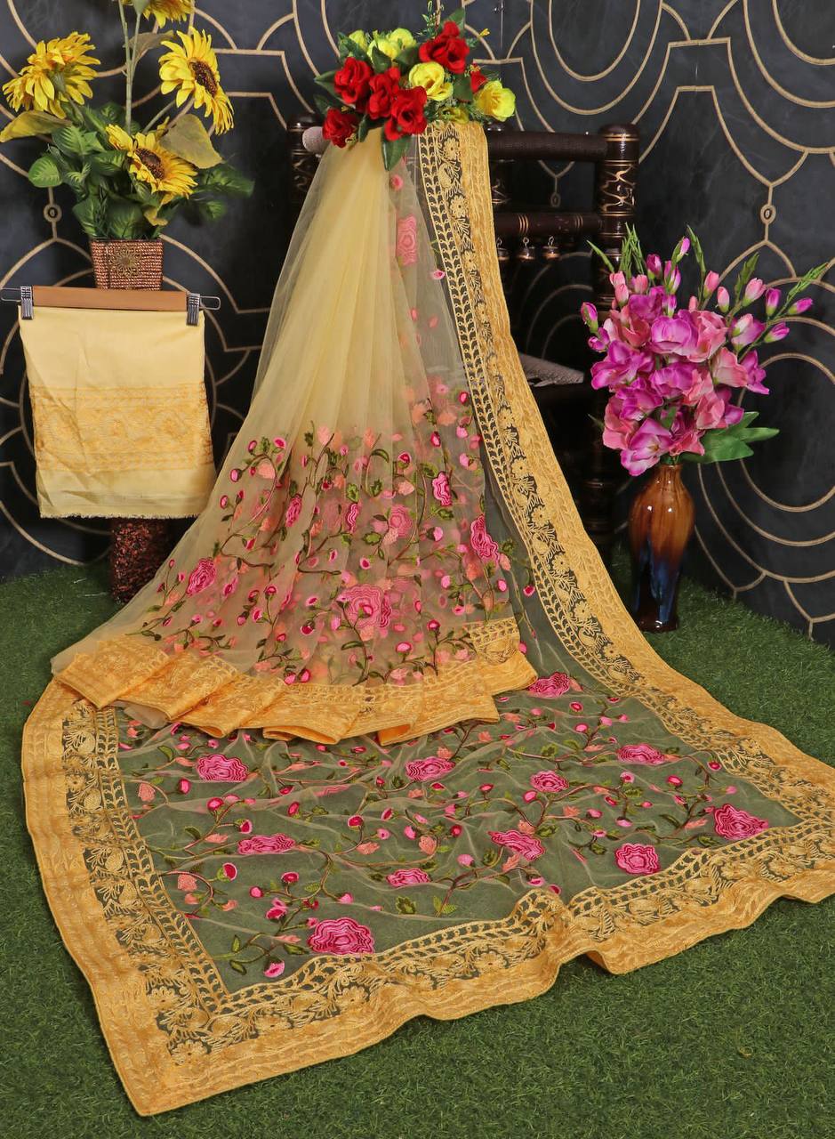 Soft Net Chikankari Embroidery Sare