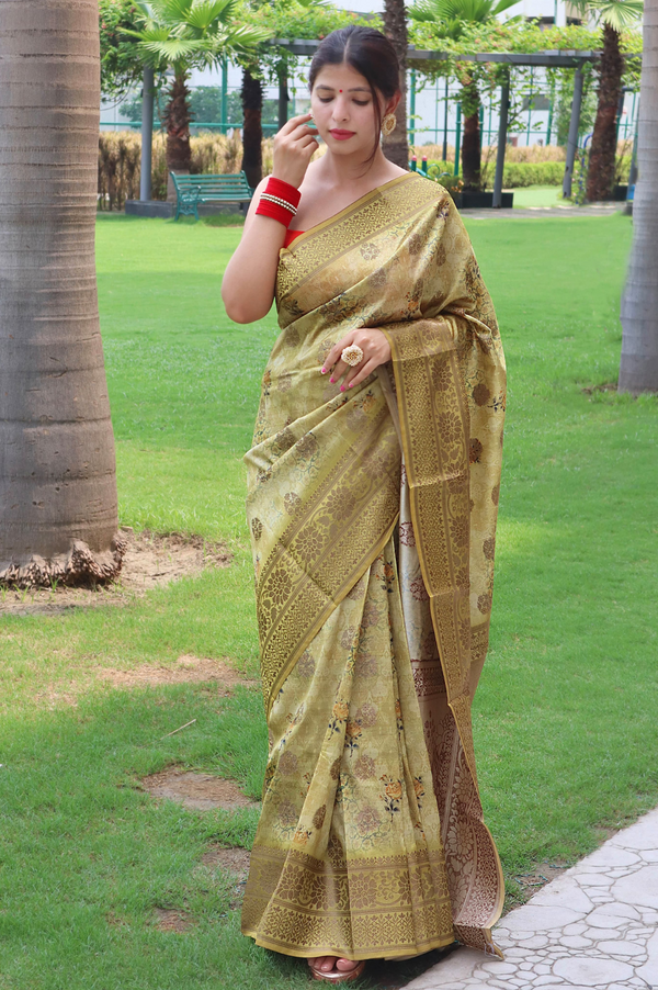 Pure Muslin Silk Saree